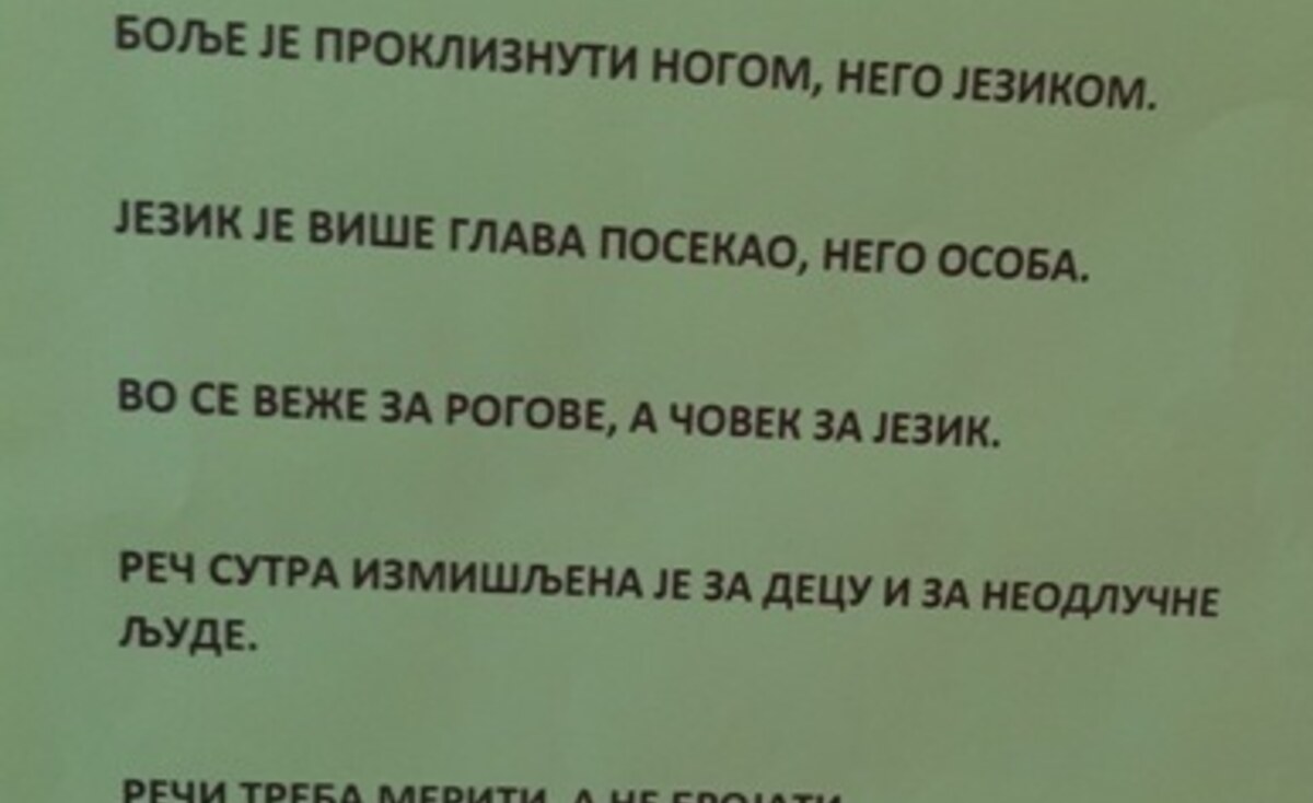 Дан матерњег језика
